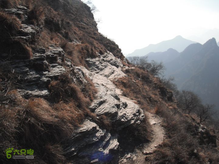 六渡-天生院-千河口DSCF5740