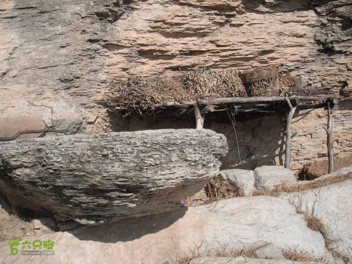 六渡-天生院-千河口DSCF5754