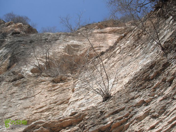 六渡-天生院-千河口DSCF5757