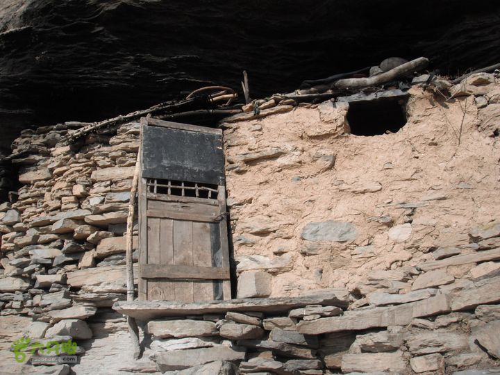 六渡-天生院-千河口DSCF5759