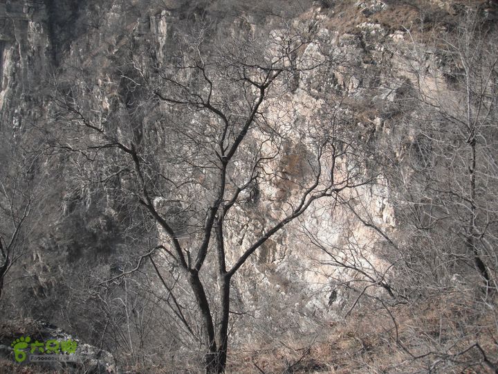 六渡-天生院-千河口DSCF5802