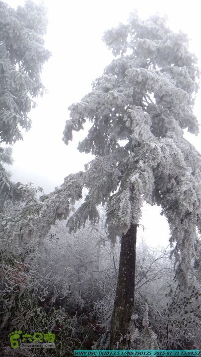 20150131-资源隘门界-户外情缘DSC04563