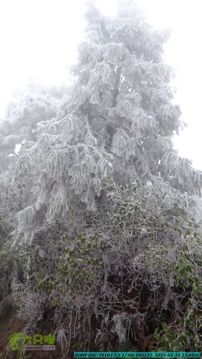 20150131-资源隘门界-户外情缘DSC04564