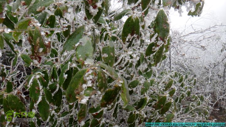 20150131-资源隘门界-户外情缘DSC04565