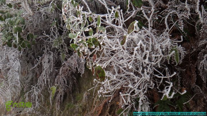 20150131-资源隘门界-户外情缘DSC04566