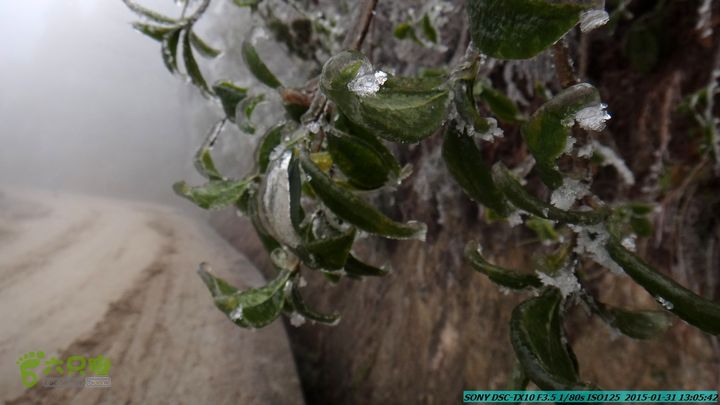 20150131-资源隘门界-户外情缘DSC04567