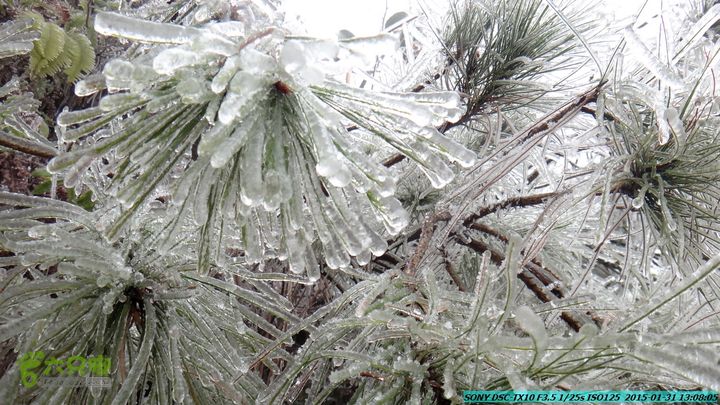 20150131-资源隘门界-户外情缘DSC04568