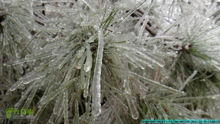 20150131-资源隘门界-户外情缘DSC04569