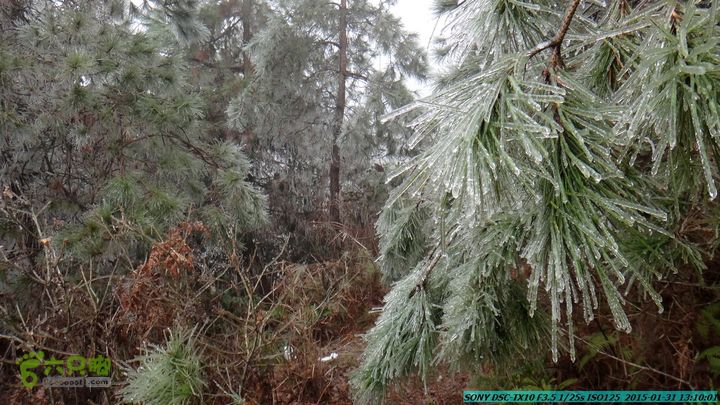 20150131-资源隘门界-户外情缘DSC04572