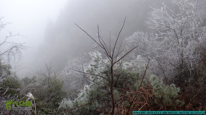 20150131-资源隘门界-户外情缘DSC04573