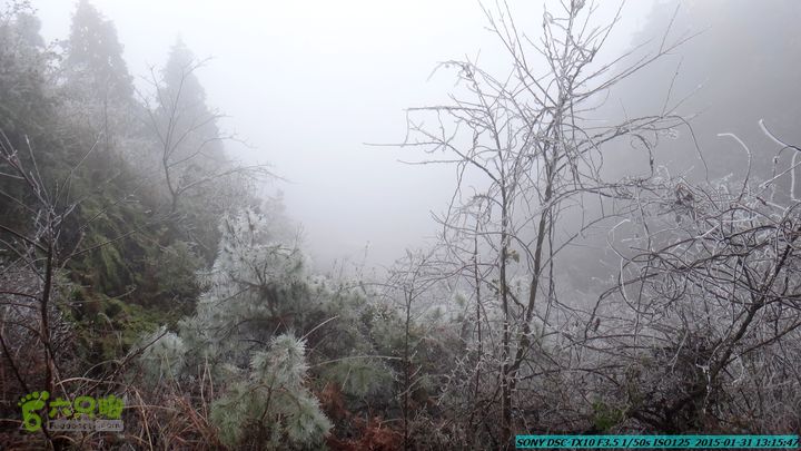 20150131-资源隘门界-户外情缘DSC04574