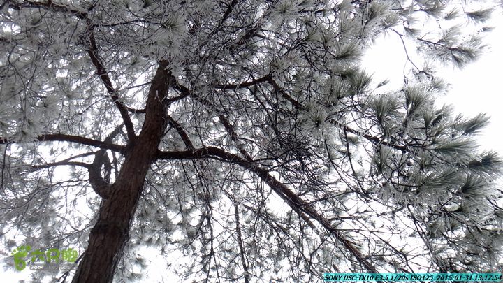 20150131-资源隘门界-户外情缘DSC04575