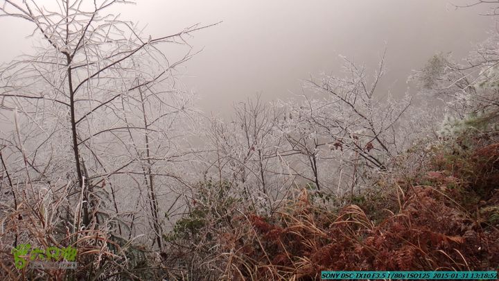 20150131-资源隘门界-户外情缘DSC04576