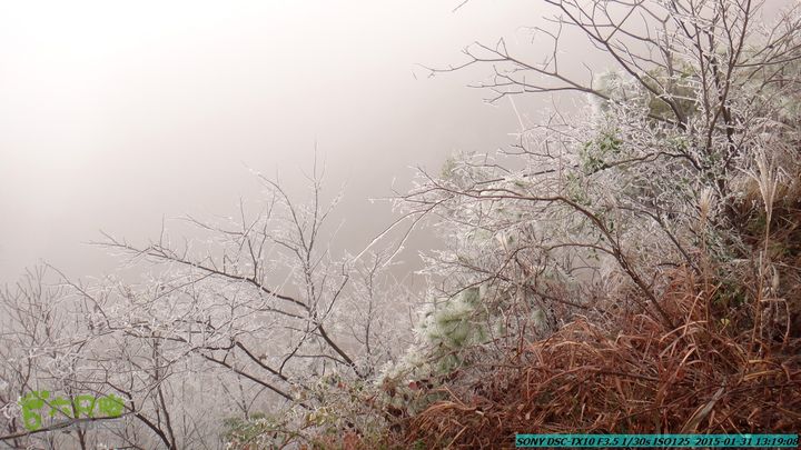 20150131-资源隘门界-户外情缘DSC04577