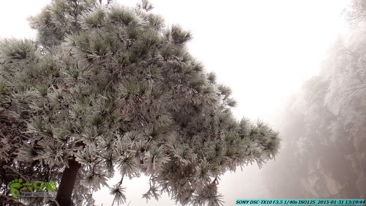 20150131-资源隘门界-户外情缘DSC04579