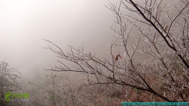 20150131-资源隘门界-户外情缘DSC04582