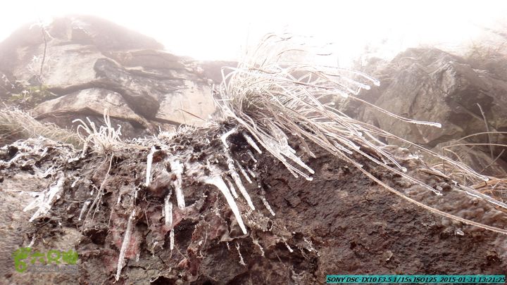 20150131-资源隘门界-户外情缘DSC04583