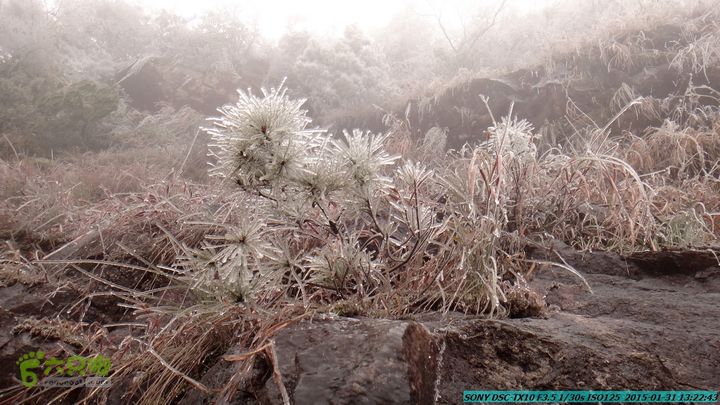 20150131-资源隘门界-户外情缘DSC04587