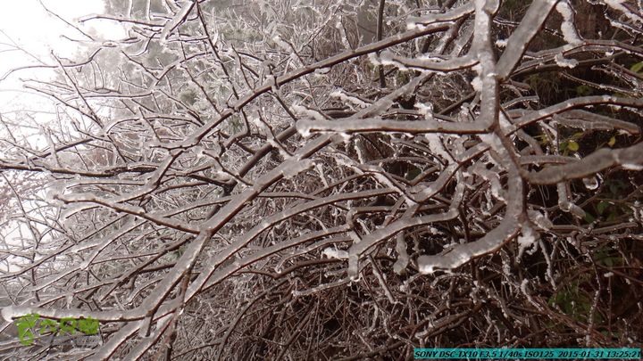 20150131-资源隘门界-户外情缘DSC04593