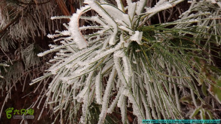 20150131-资源隘门界-户外情缘DSC04594