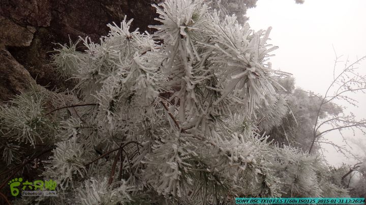 20150131-资源隘门界-户外情缘DSC04595