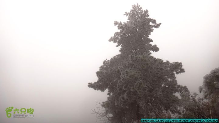 20150131-资源隘门界-户外情缘DSC04603