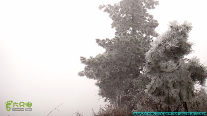 20150131-资源隘门界-户外情缘DSC04605