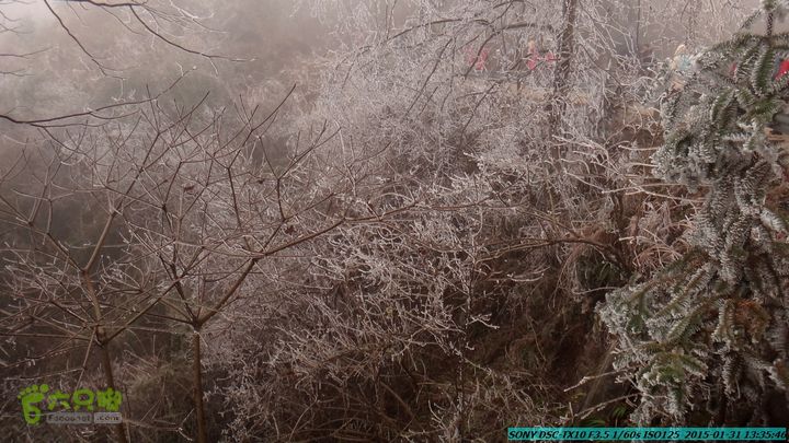 20150131-资源隘门界-户外情缘DSC04607