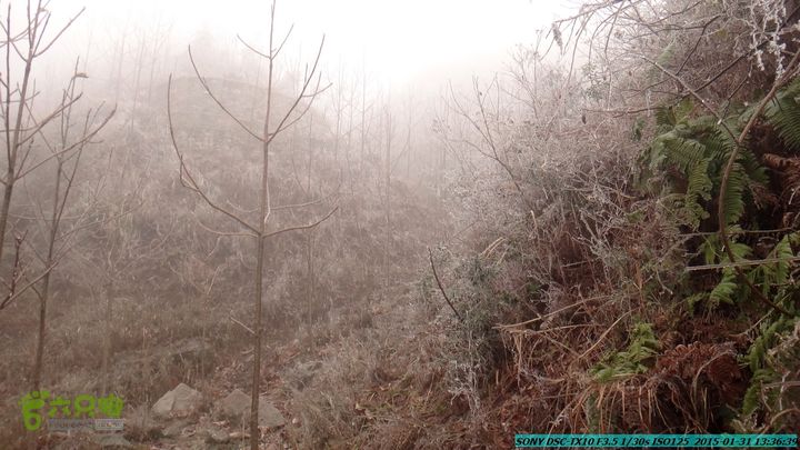 20150131-资源隘门界-户外情缘DSC04610