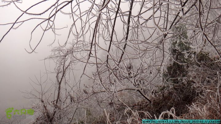 20150131-资源隘门界-户外情缘DSC04617