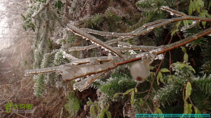 20150131-资源隘门界-户外情缘DSC04618