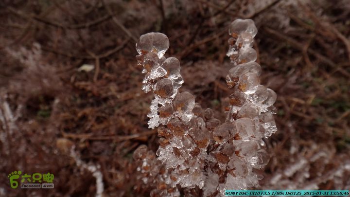 20150131-资源隘门界-户外情缘DSC04619