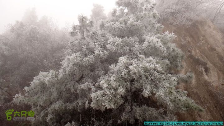 20150131-资源隘门界-户外情缘DSC04621