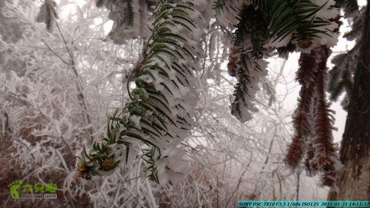 20150131-资源隘门界-户外情缘DSC04622