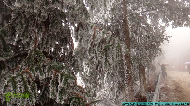 20150131-资源隘门界-户外情缘DSC04623