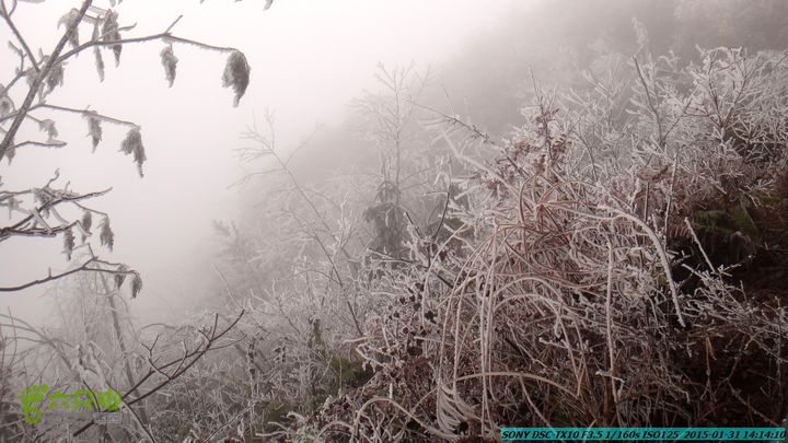 20150131-资源隘门界-户外情缘DSC04624