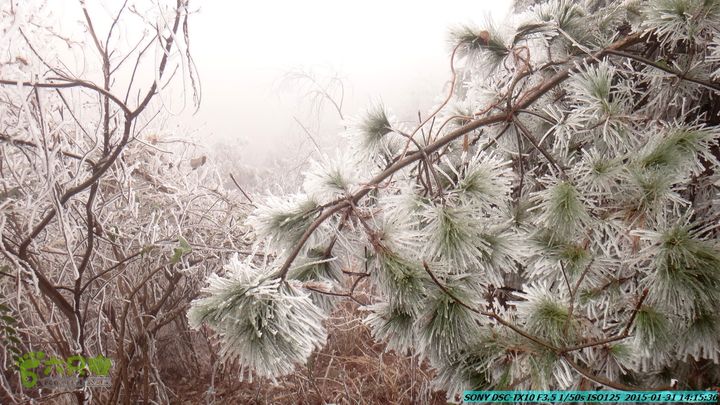 20150131-资源隘门界-户外情缘DSC04625