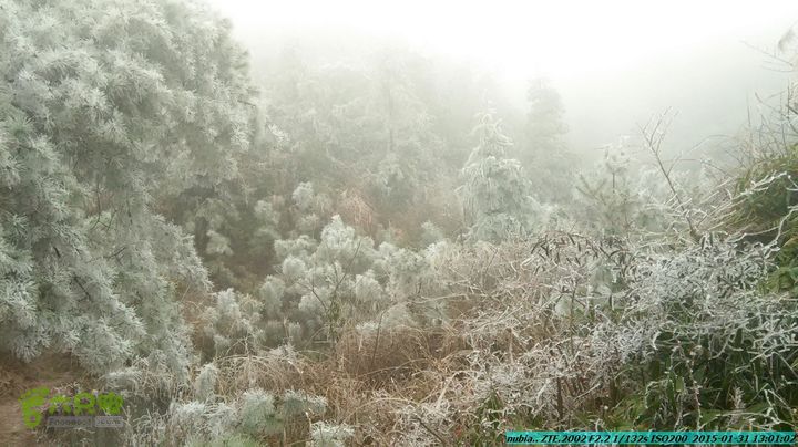 20150131-资源隘门界-户外情缘IMG_20150131_130101