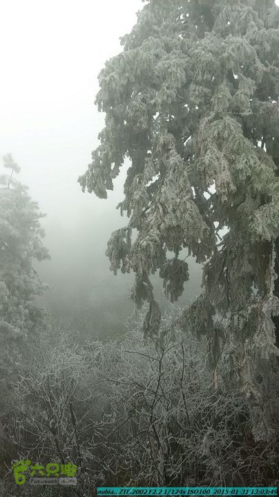 20150131-资源隘门界-户外情缘IMG_20150131_130349