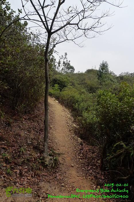 2015 02 01 逆環湖烏蛟七鹿P1180826