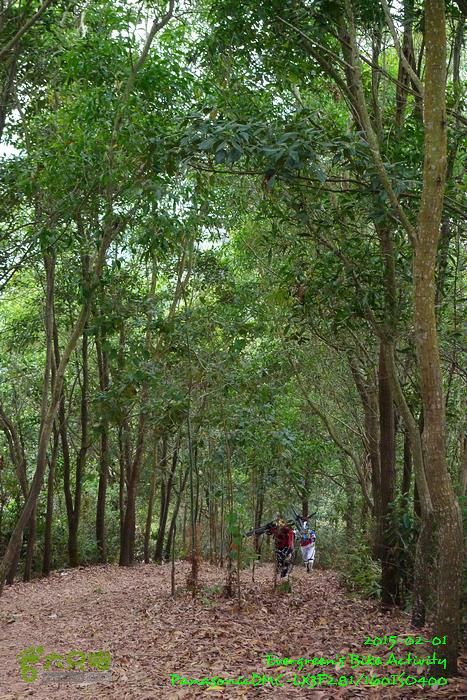 2015 02 01 逆環湖烏蛟七鹿P1180828