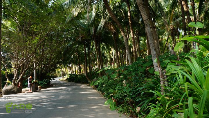 海南岛：20150122鸭仔塘村-龙沐湾2015海南-087