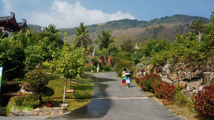 海南岛：20150122鸭仔塘村-龙沐湾2015海南-088