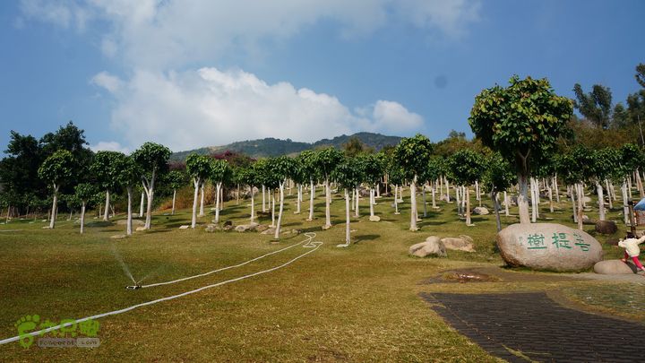 海南岛：20150122鸭仔塘村-龙沐湾2015海南-093