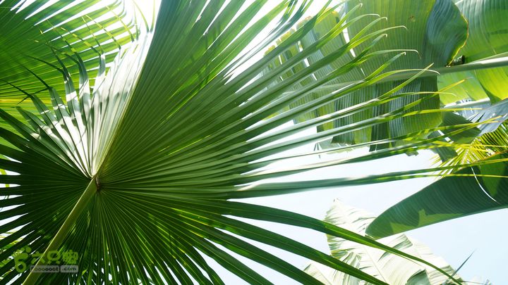 海南岛：20150122鸭仔塘村-龙沐湾2015海南-108