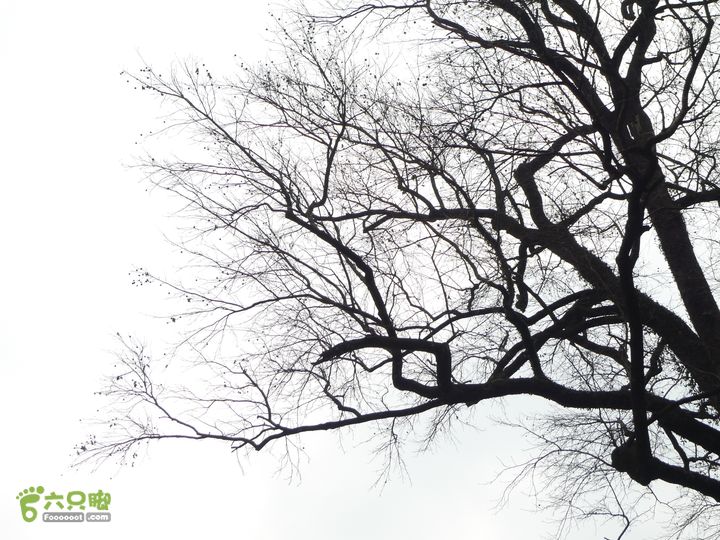 西溪-孔丘-仙人桥P1300156