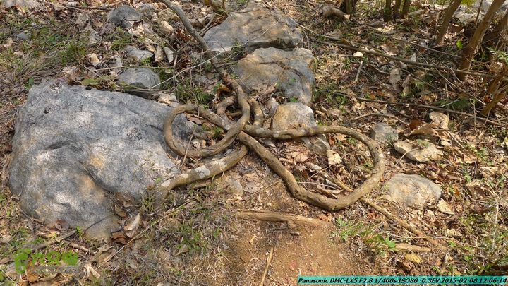 20150208-暗嵅-黎家-虾嵅-潜经-竹江-(户外情缘)P1030635