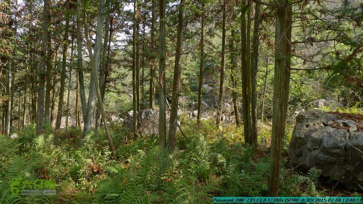 20150208-暗嵅-黎家-虾嵅-潜经-竹江-(户外情缘)P1030645