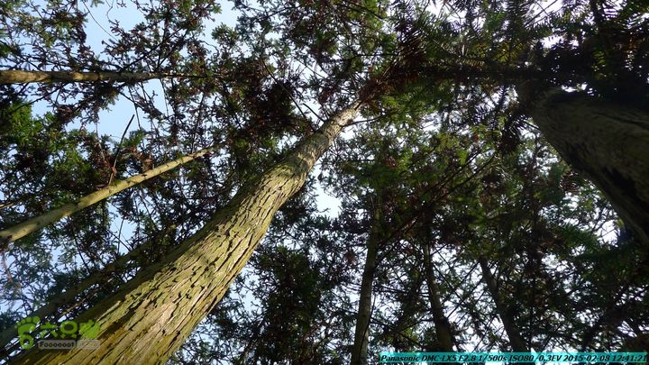 20150208-暗嵅-黎家-虾嵅-潜经-竹江-(户外情缘)P1030646