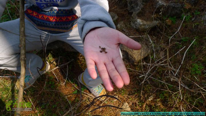 20150208-暗嵅-黎家-虾嵅-潜经-竹江-(户外情缘)P1030649